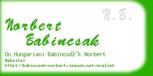 norbert babincsak business card